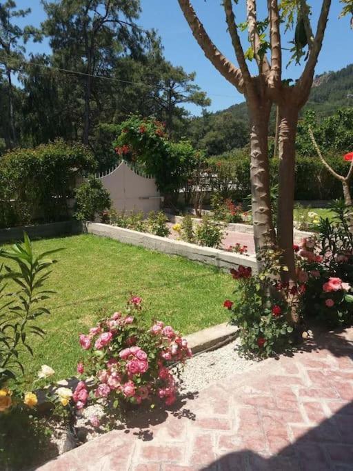 Greek Style Ground Floor Apartment & Pool Ialisos Exterior foto