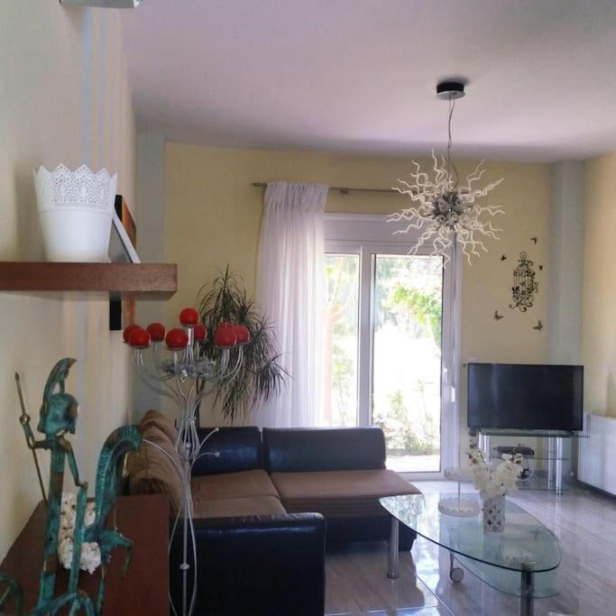 Greek Style Ground Floor Apartment & Pool Ialisos Exterior foto