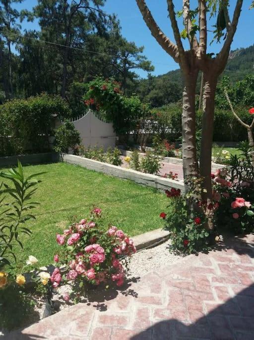 Greek Style Ground Floor Apartment & Pool Ialisos Exterior foto