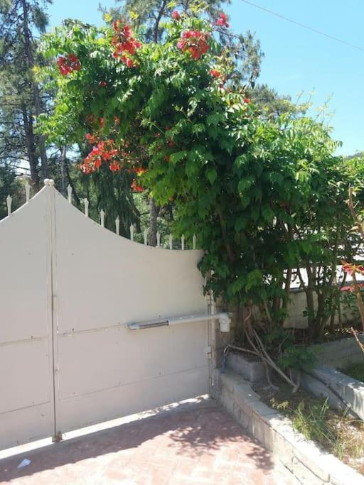 Greek Style Ground Floor Apartment & Pool Ialisos Exterior foto